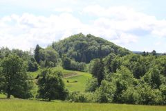 IMG_1163