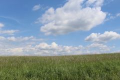 IMG_1168