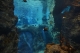 14543428_922203107923038_333112045_n